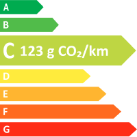 Image étiquette CO2 (C 123g CO2/km)